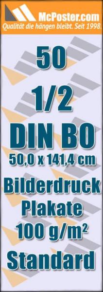 Bilderdruck Plakate 1/2 DIN B0 50,0 x 141,4 günstig online kaufen bei McPoster.com