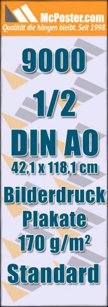 Bilderdruck Plakate 1/2 DIN A0 42,1 x 118,1 günstig online kaufen bei McPoster.com