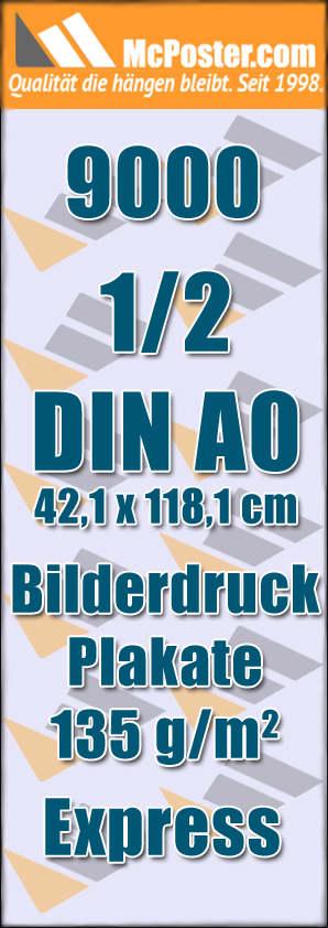 Plakat DIN A0 mit  Solvent Druck 1400 dpi 30 x Poster 